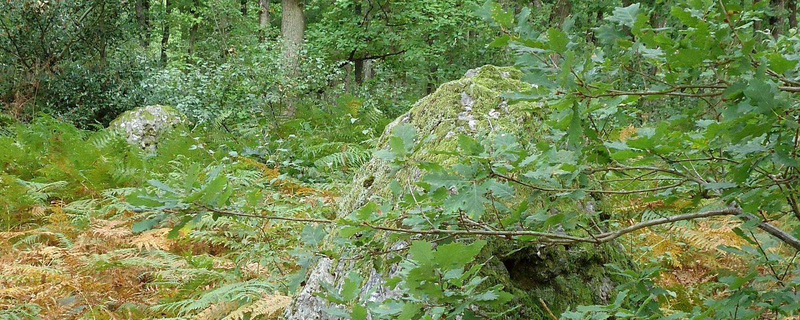 Vue de Les Baux-Sainte-Croix, Eure