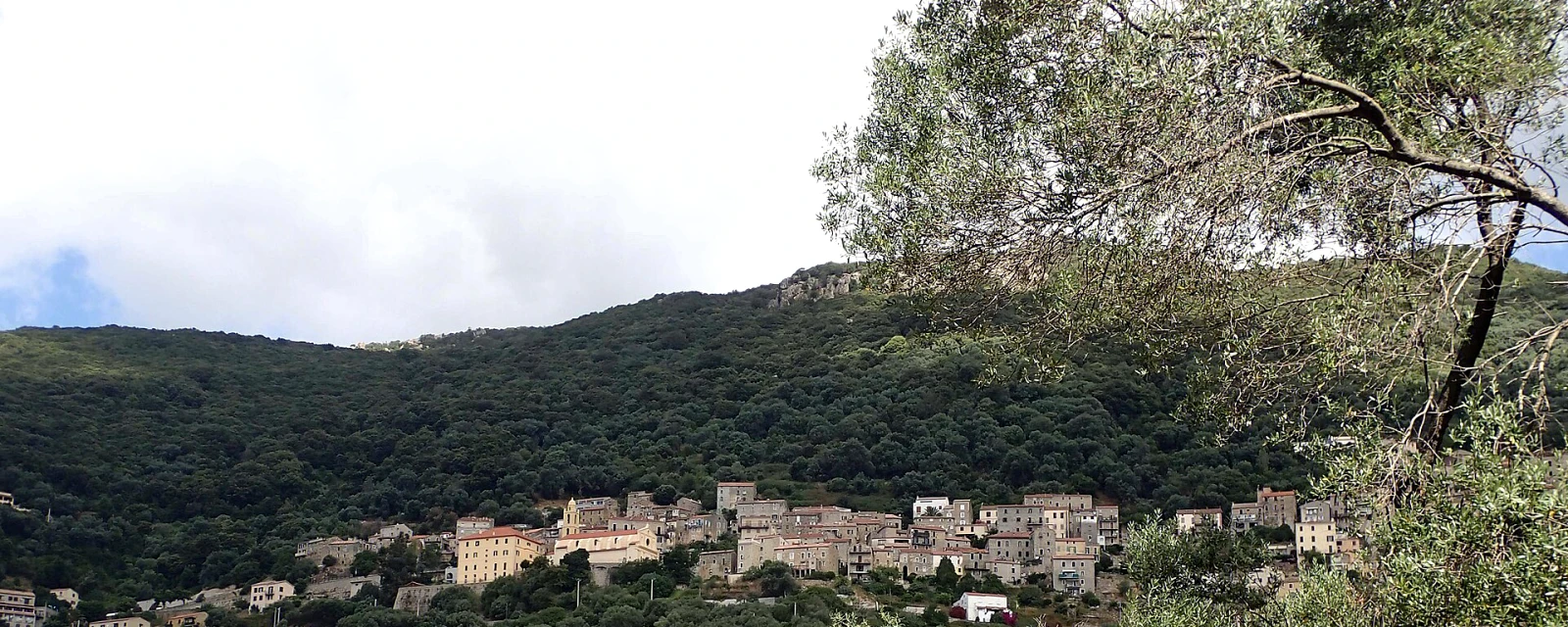 Vue de Olmeto, Corse-du-Sud