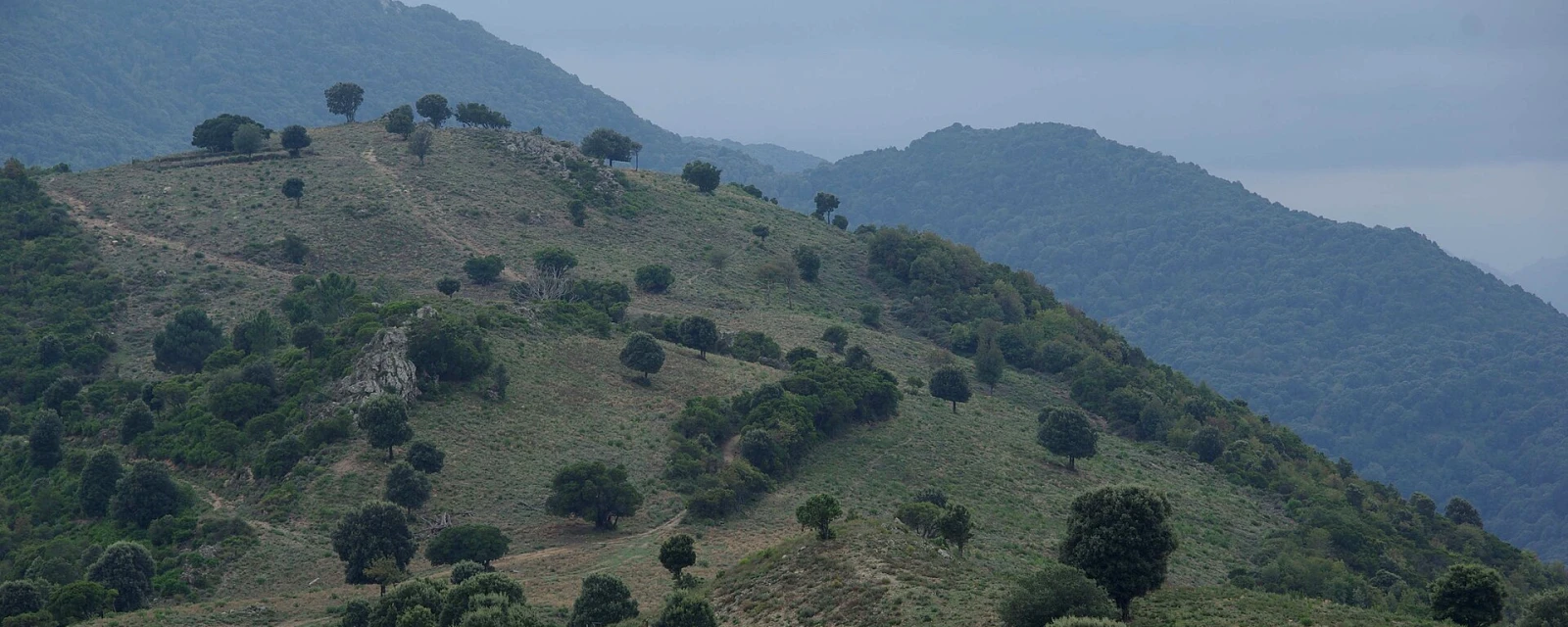 Vue de Sorbollano, Corse-du-Sud