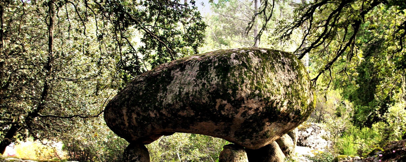Vue de San-Gavino-di-Carbini, Corse-du-Sud
