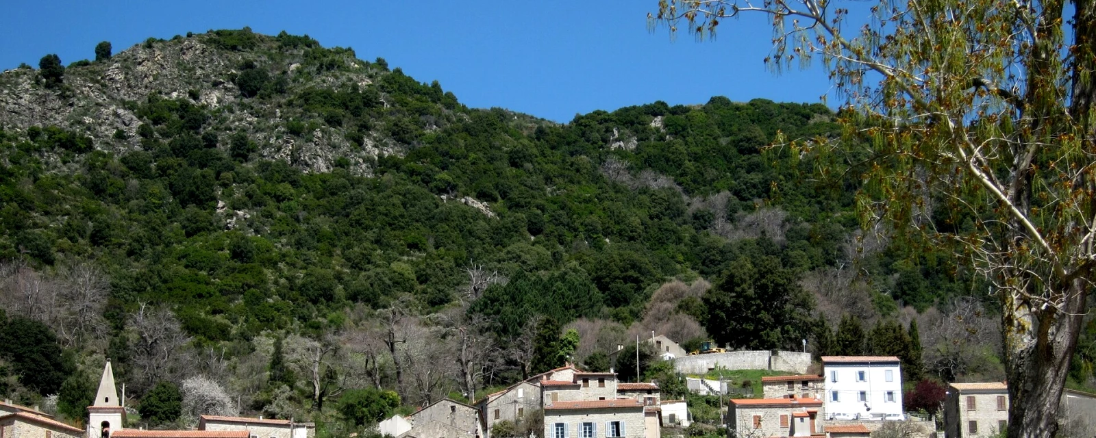 Vue de Tolla, Corse-du-Sud