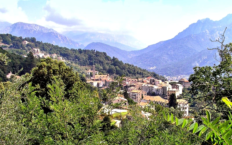 Vico
