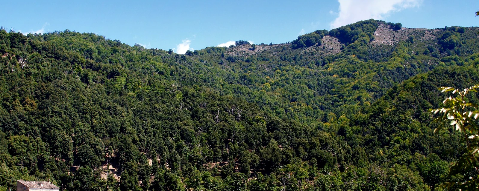 Vue de Bustanico, Haute-Corse