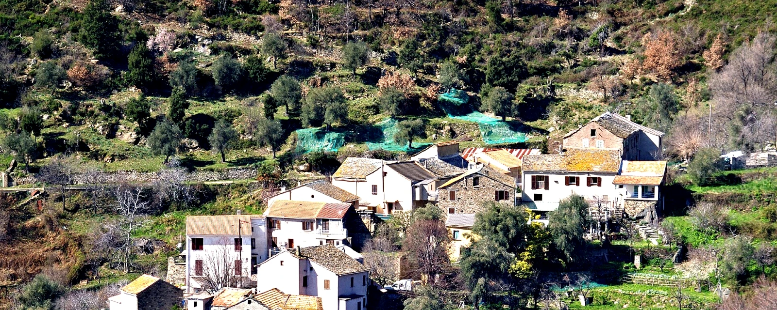 Vue de Campitello, Haute-Corse