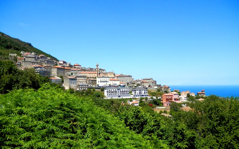 Cervione