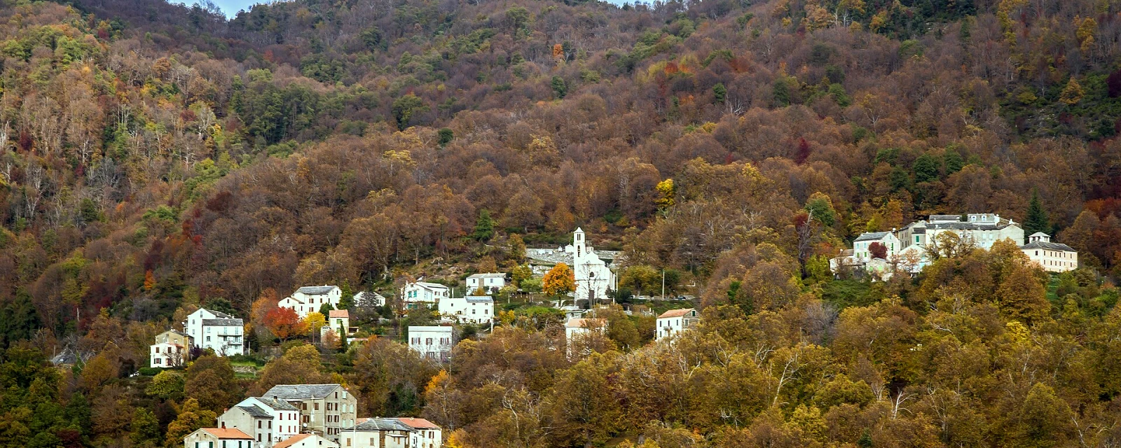Vue de Felce, Haute-Corse