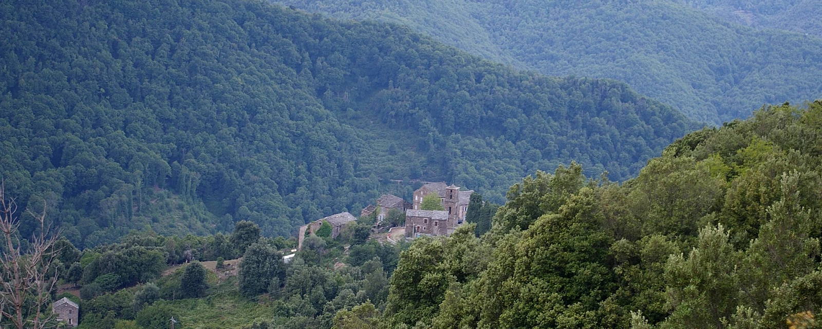 Vue de Monacia-d'Orezza, Haute-Corse