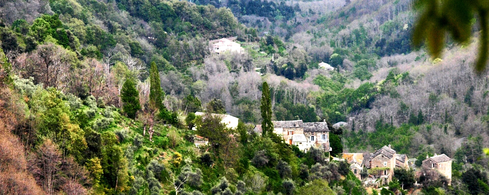 Vue de Poggio-Marinaccio, Haute-Corse