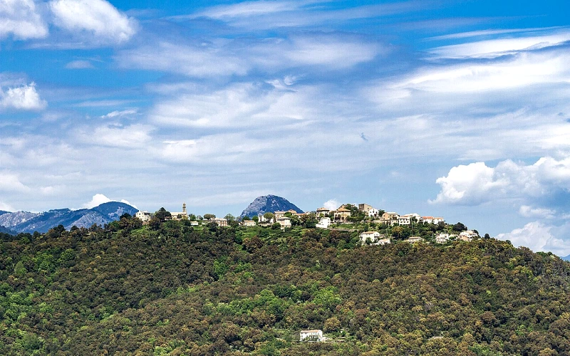 Prunelli-di-Fiumorbo