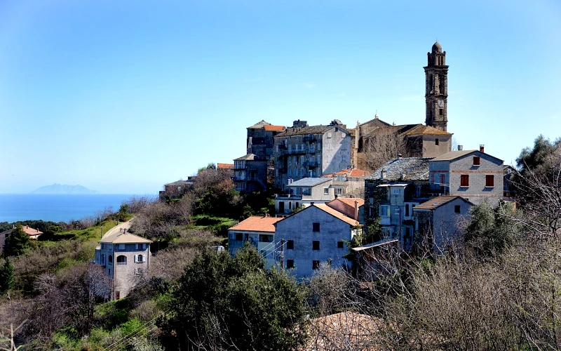 Venzolasca