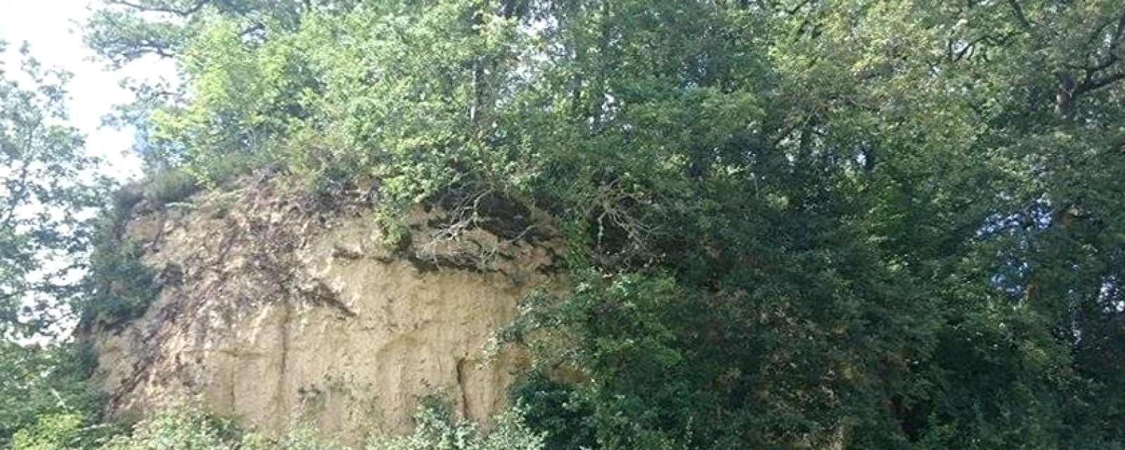 Vue de Bouzon-Gellenave, Gers