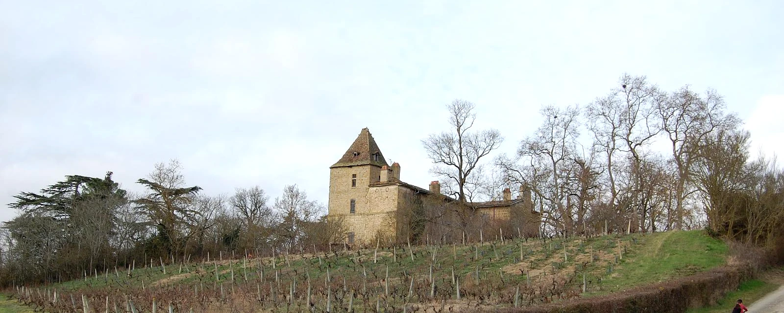 Vue de Mirepoix, Gers