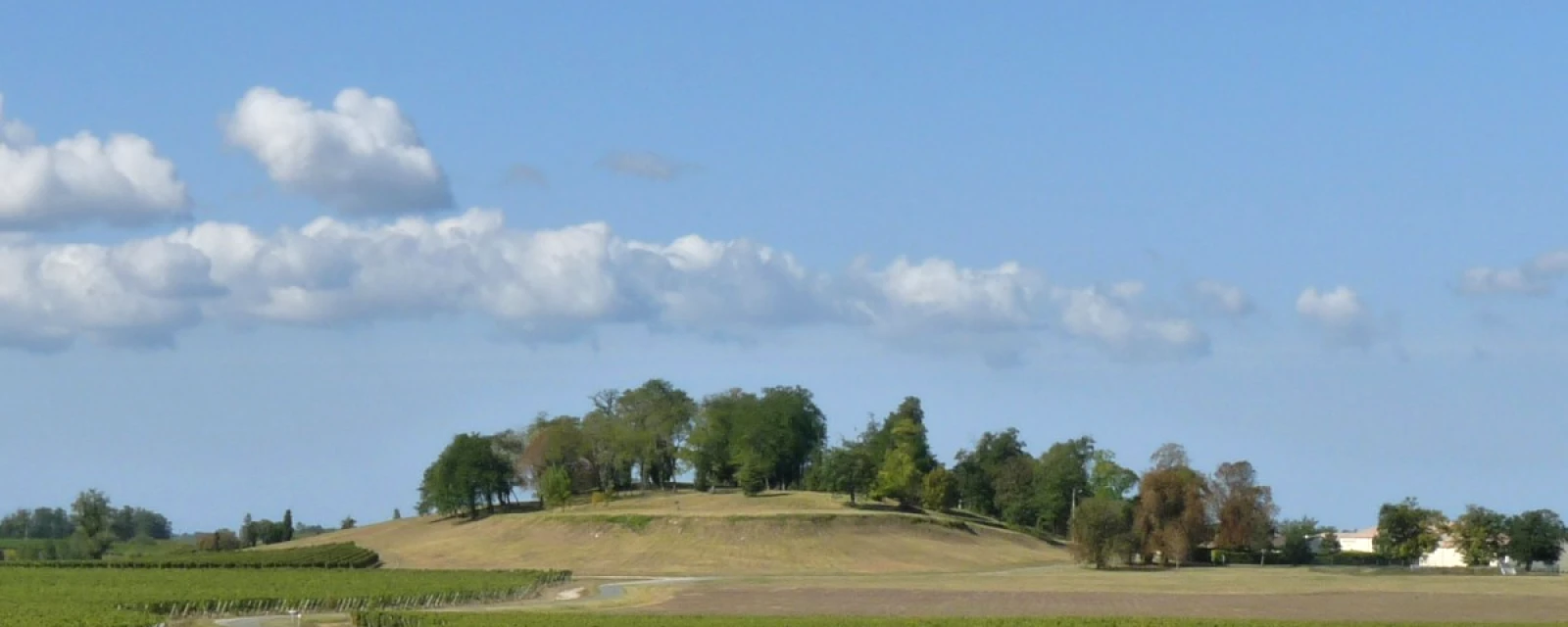 Vue de Blaignan-Prignac, Gironde