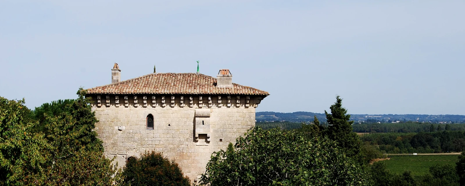 Vue de Moulon, Gironde