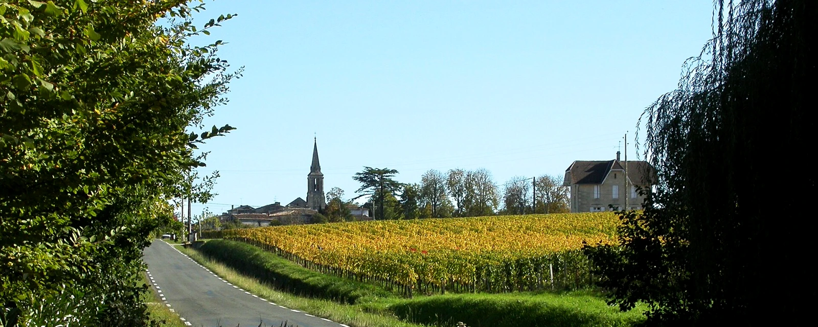 Vue de Saint-Christophe-des-Bardes, Gironde