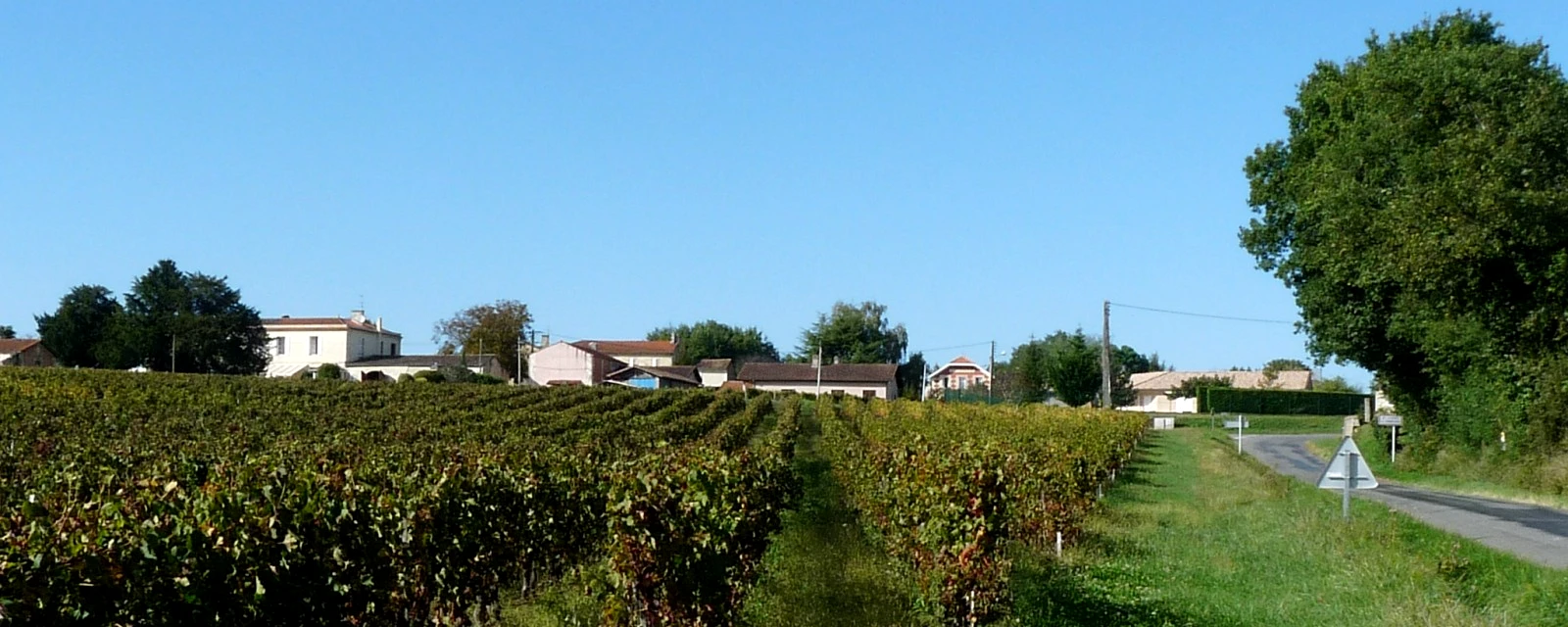 Vue de Saint-Ciers-de-Canesse, Gironde