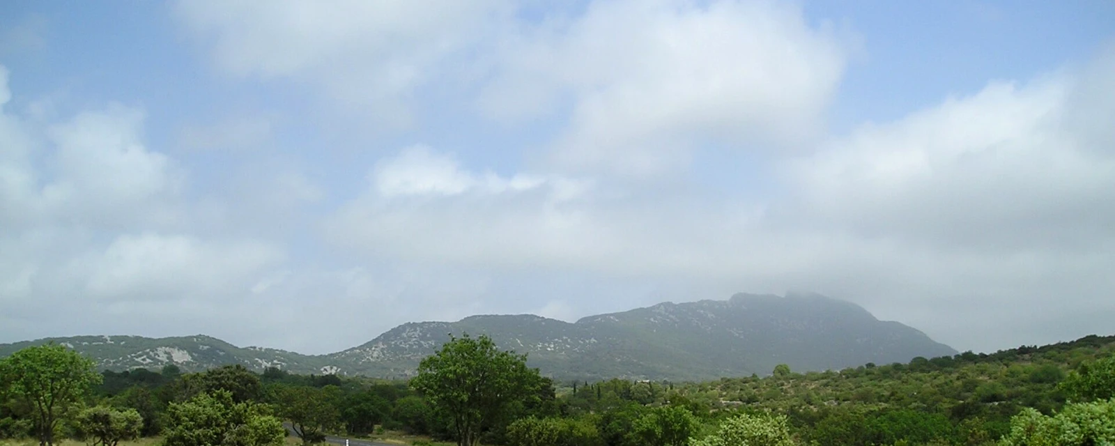 Vue de Cazevieille, Hérault