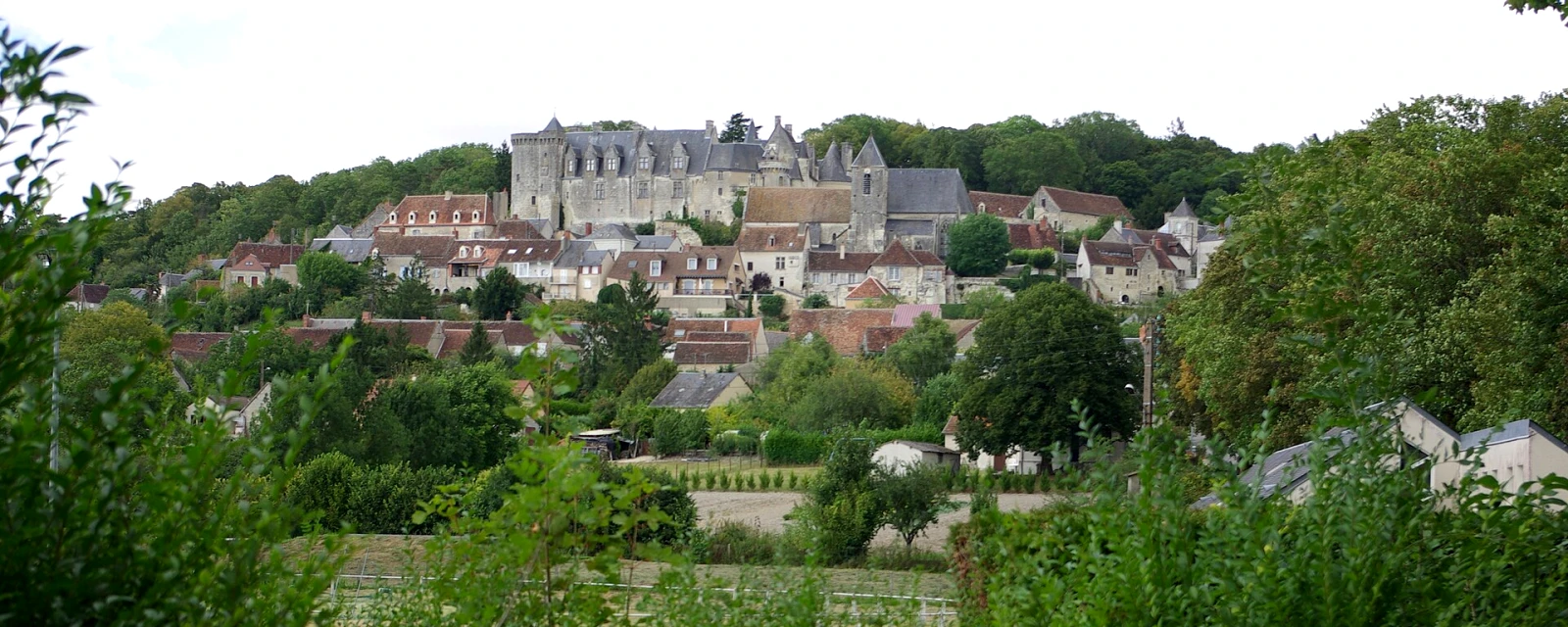 Vue de Palluau-sur-Indre, Indre