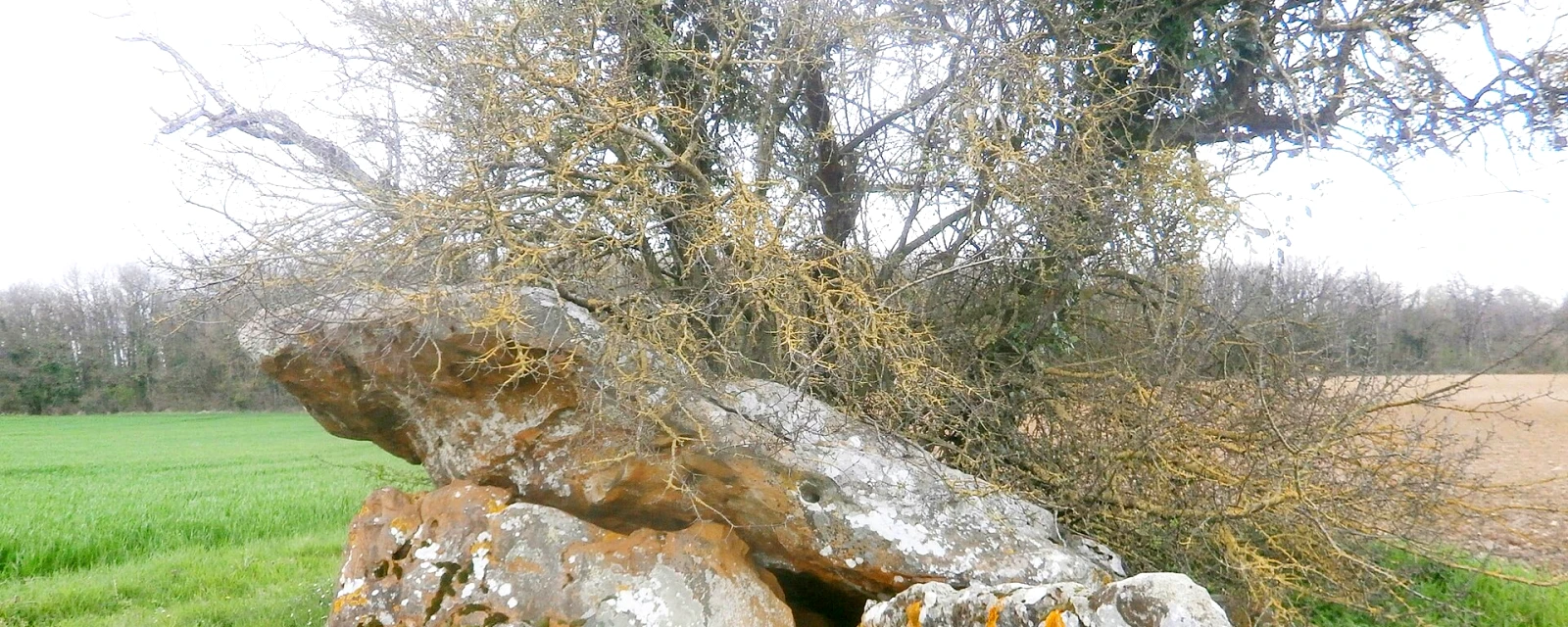 Vue de Marcé-sur-Esves, Indre-et-Loire