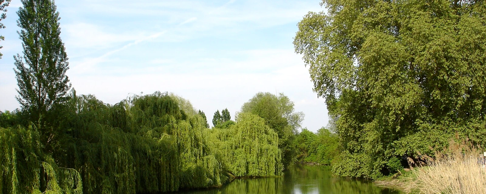 Vue de Rigny-Ussé, Indre-et-Loire