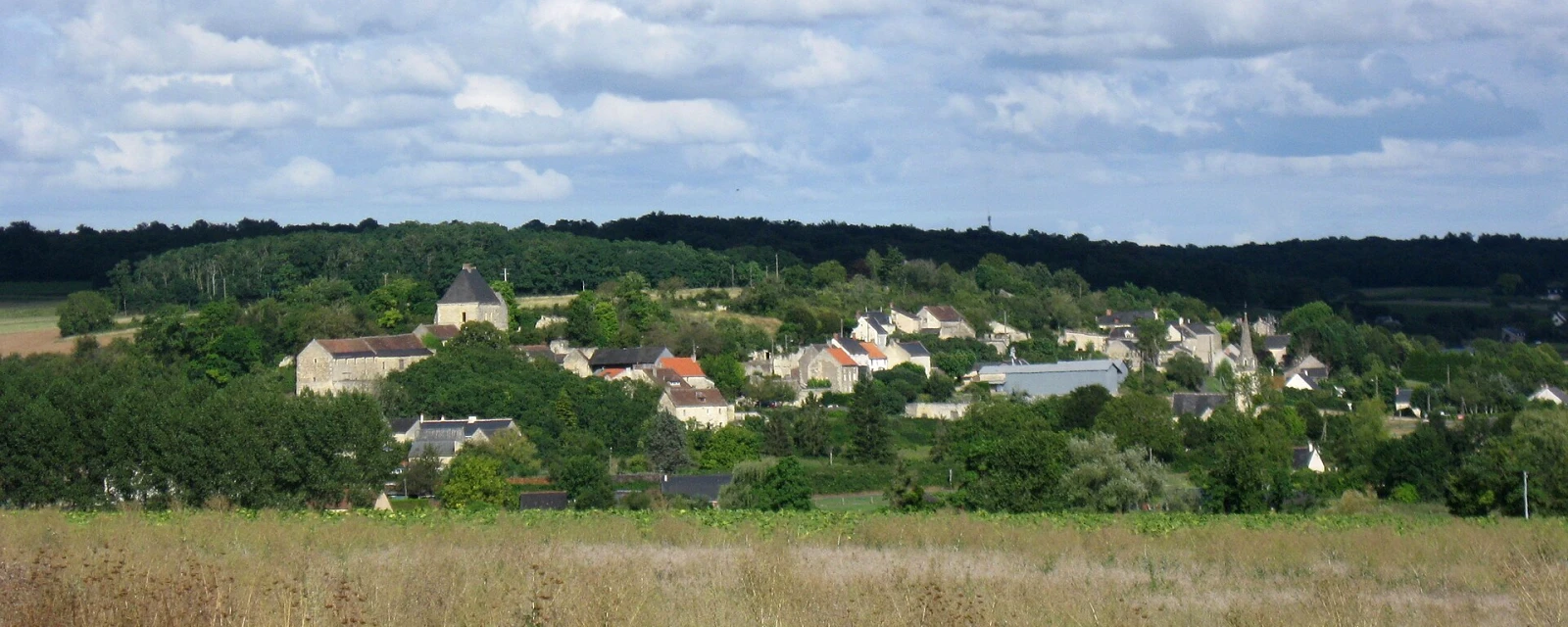 Vue de La Roche-Clermault, Indre-et-Loire