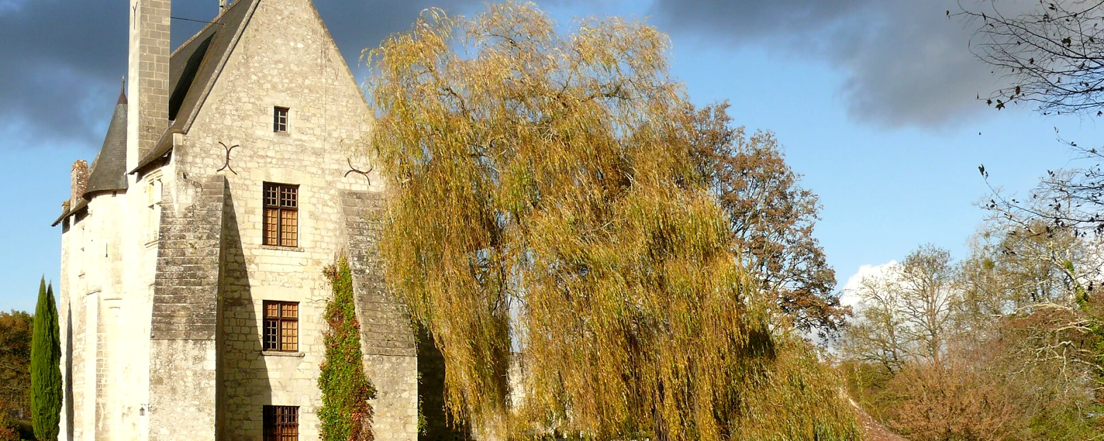 Vue de Saint-Benoît-la-Forêt, Indre-et-Loire