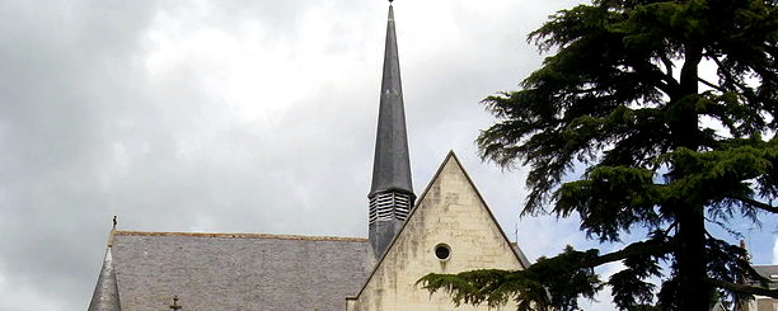 Vue de Saint-Cyr-sur-Loire, Indre-et-Loire