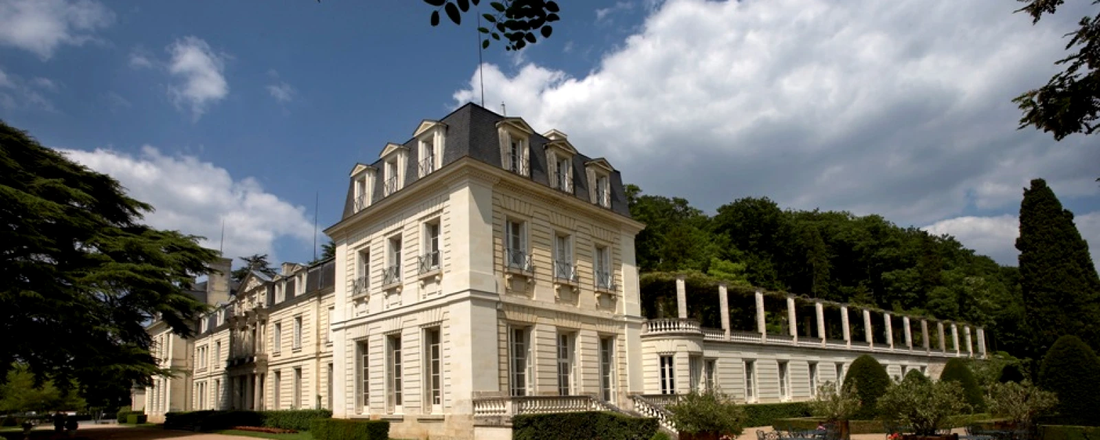 Vue de Coteaux-sur-Loire, Indre-et-Loire
