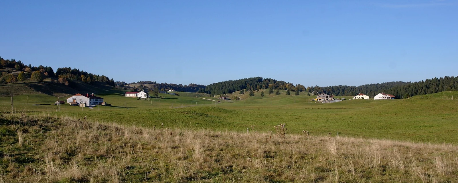 Vue de Bellecombe, Jura