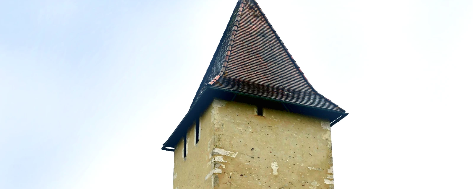 Vue de Fargues, Landes
