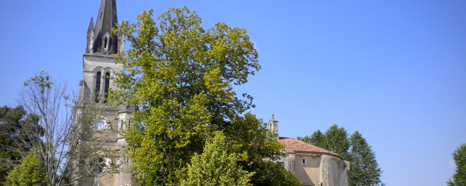 Vue de Laluque, Landes