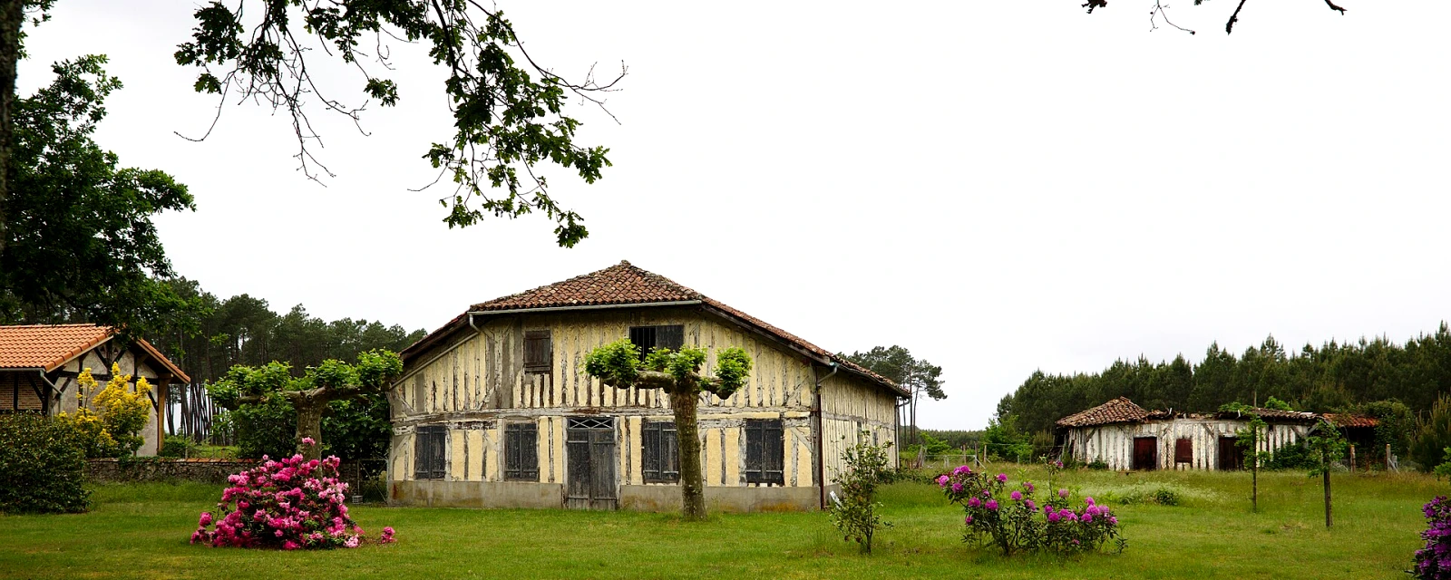 Vue de Lévignacq, Landes