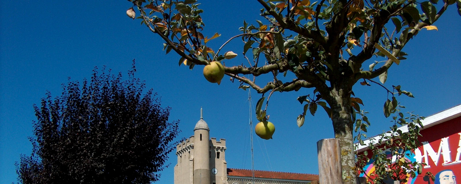 Vue de Pomarez, Landes