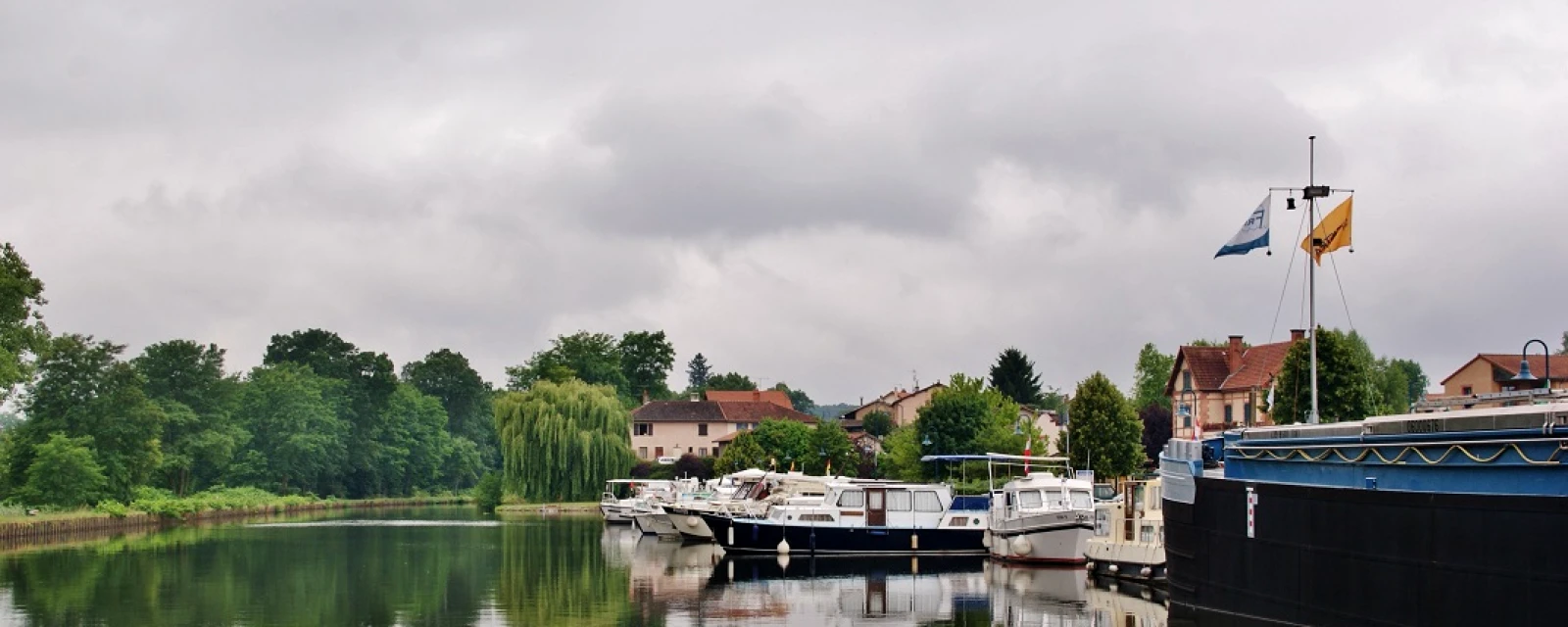 Vue de Briennon, Loire