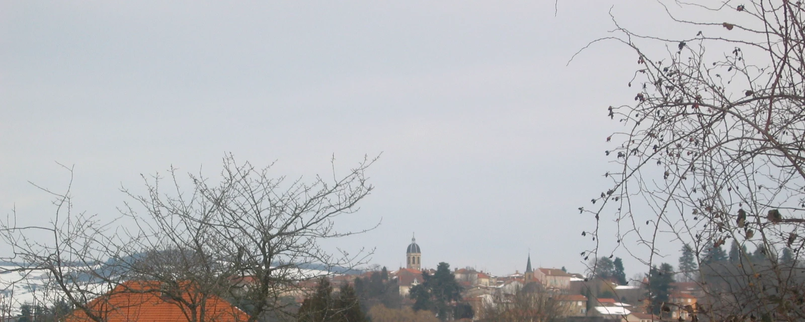 Vue de Lay, Loire