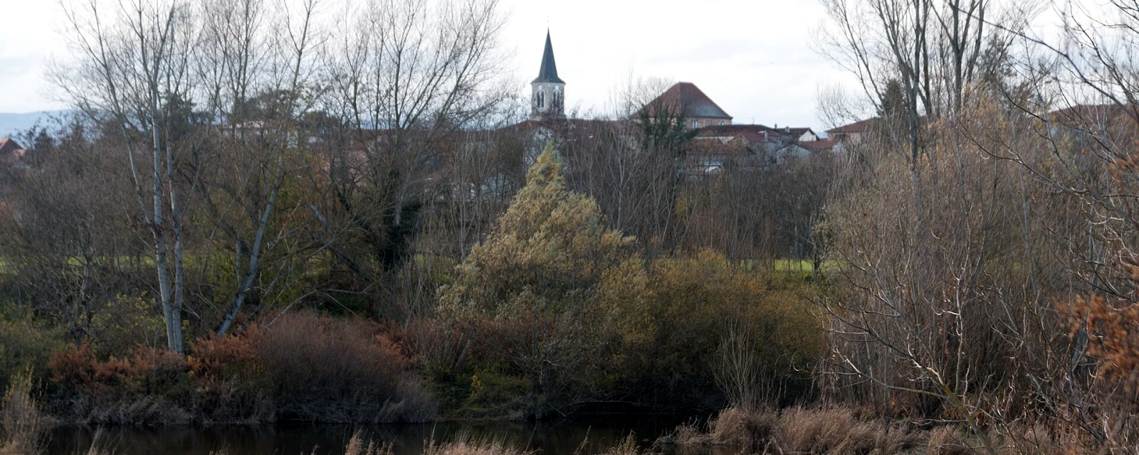 Vue de Saint-Cyprien, Loire