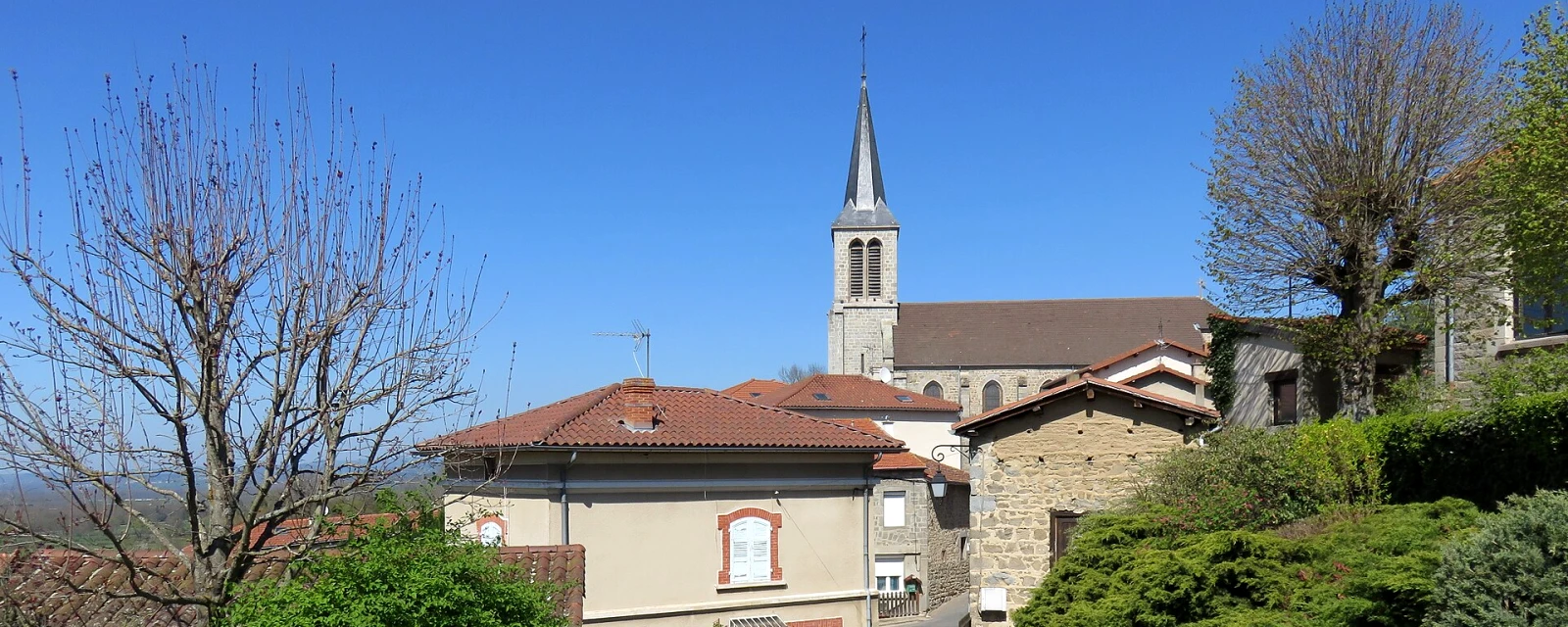 Vue de Saint-Cyr-les-Vignes, Loire