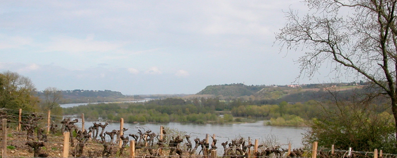 Vue de Le Cellier, Loire-Atlantique