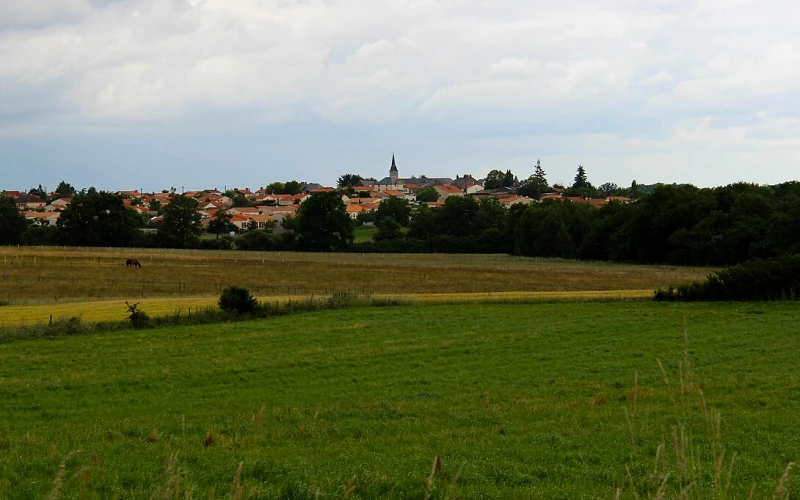Remouillé