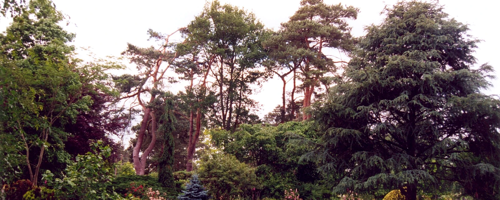 Vue de Ingrannes, Loiret