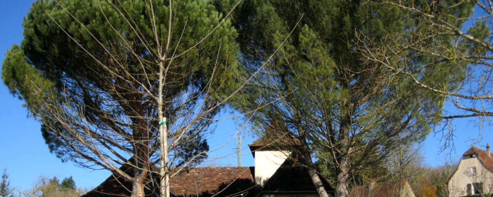 Vue de Bio, Lot