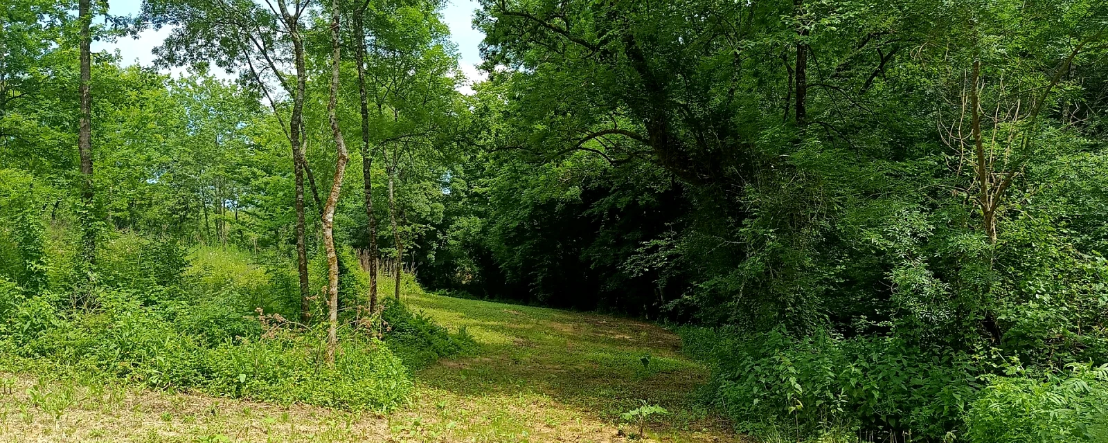 Vue de Cocumont, Lot-et-Garonne