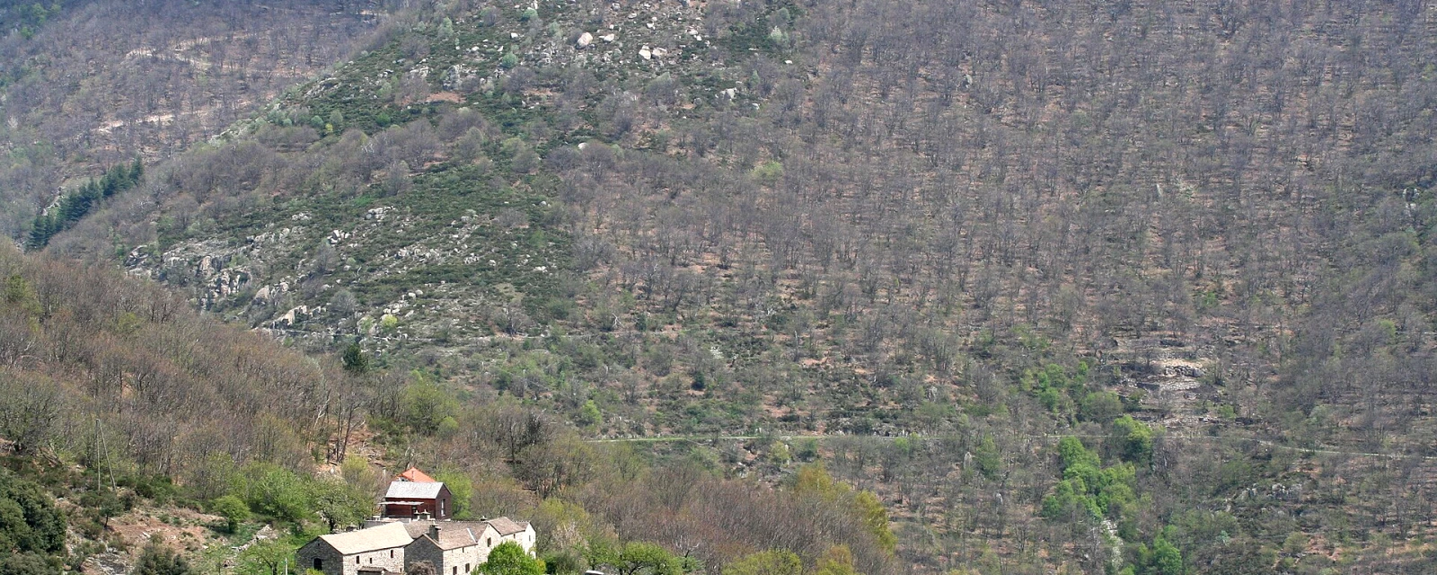 Vue de Pied-de-Borne, Lozère