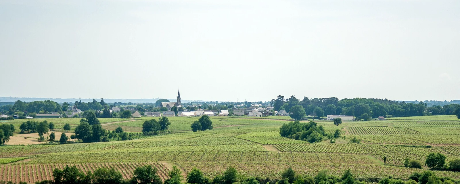 Vue de Val-du-Layon, Maine-et-Loire