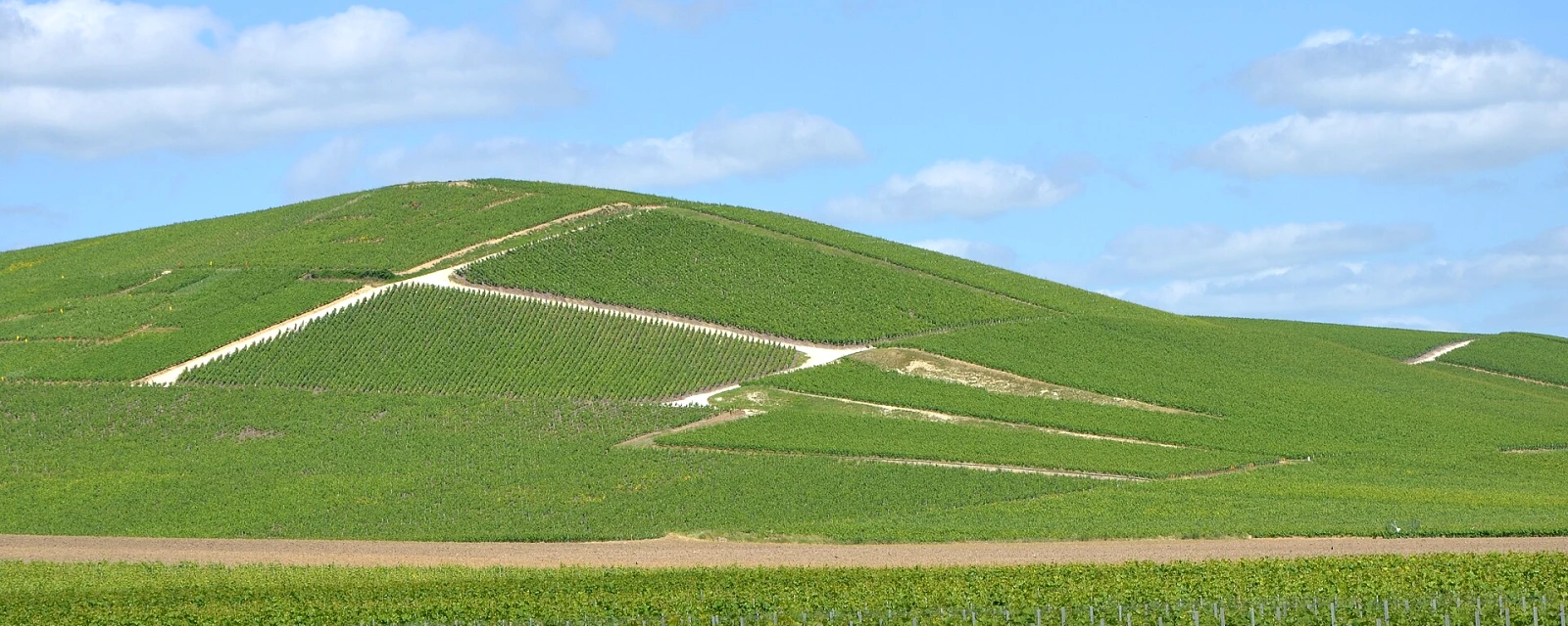 Vue de Aÿ-Champagne, Marne