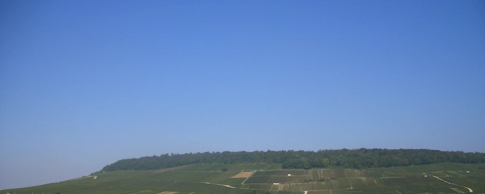 Vue de Bergères-lès-Vertus, Marne