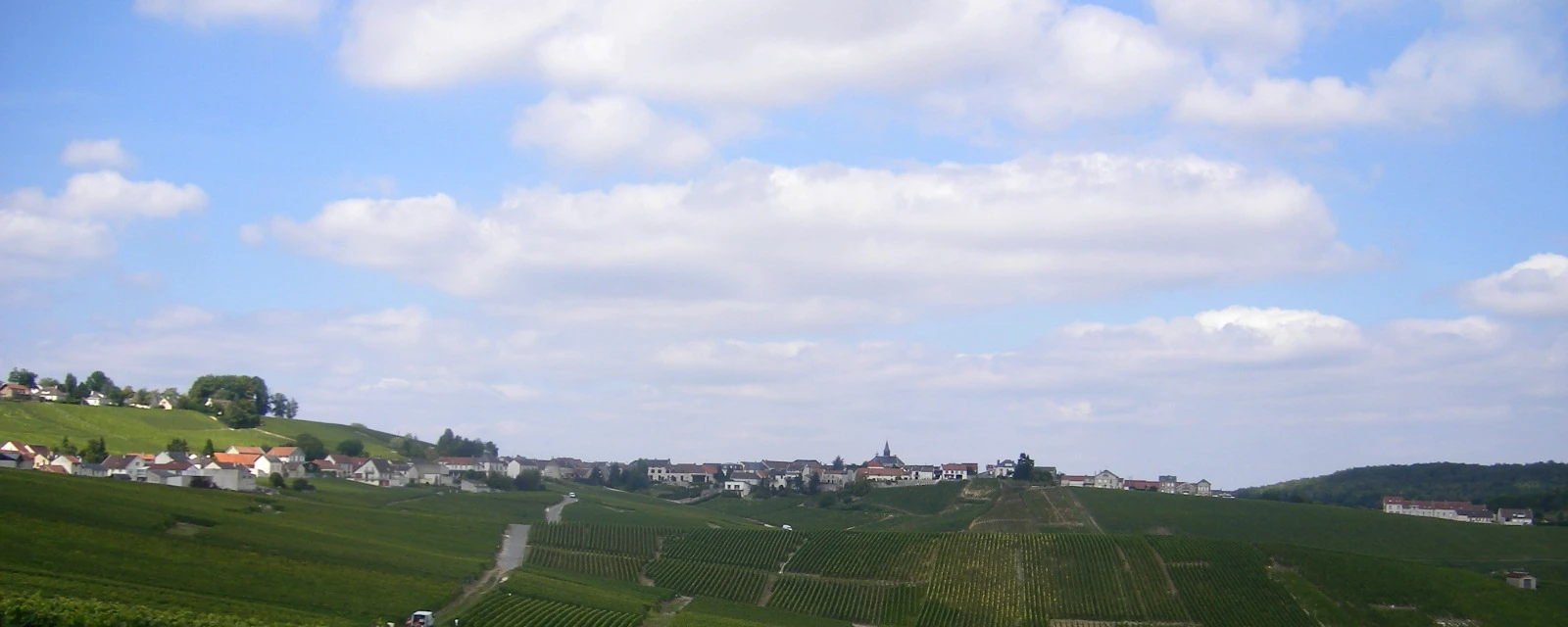 Vue de Cramant, Marne