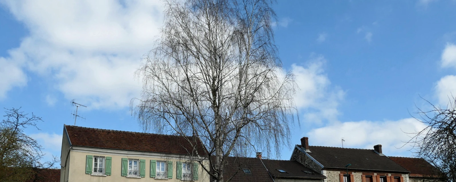 Vue de Mareuil-en-Brie, Marne