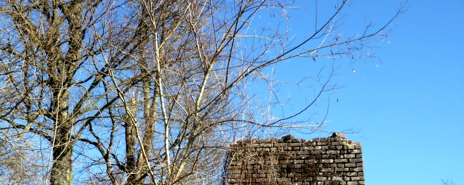 Vue de Laneuville-au-Pont, Haute-Marne