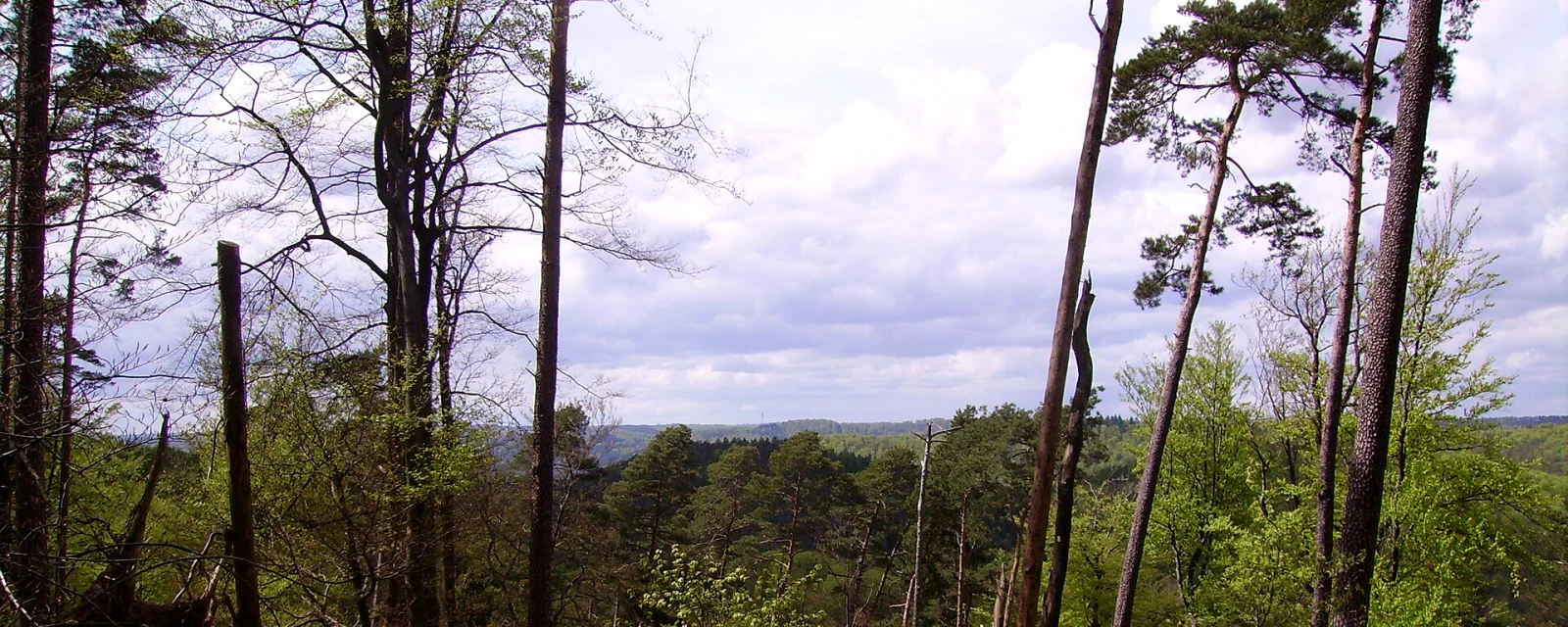 Vue de Goetzenbruck, Moselle